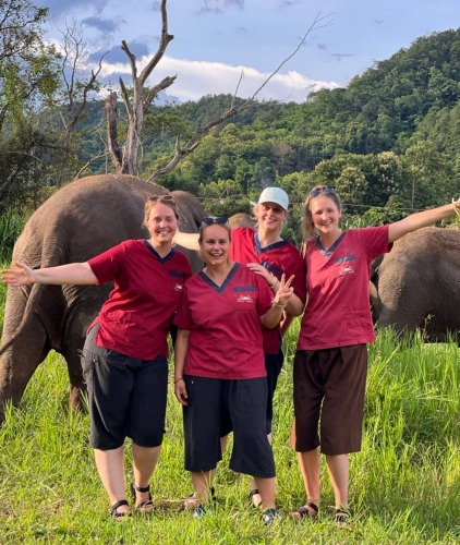 ทัวร์ชมเขตรักษาพันธุ์ช้างรันทอง ครึ่งวัน (ช่วงเช้า)