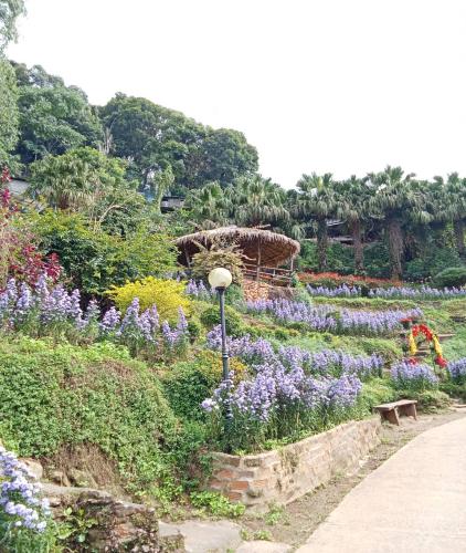 One day tour chiangmai