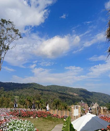 One day tour chiangmai