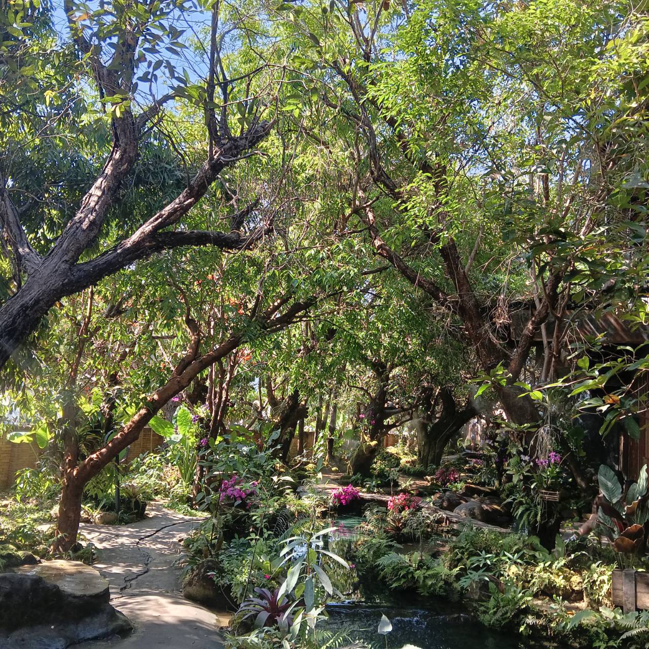 Dantawada Cafe(Angel Land)