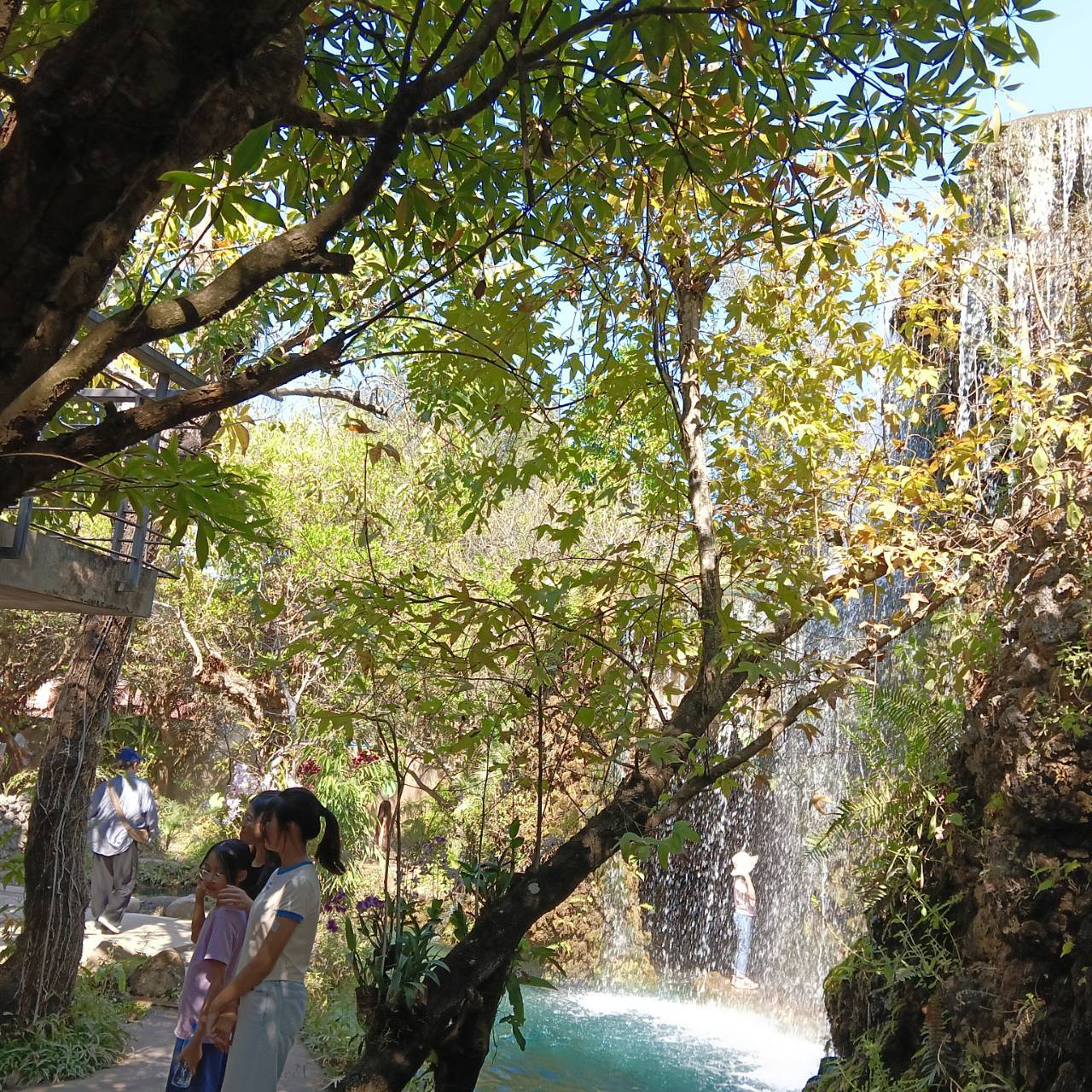 Dantawada Cafe(Angel Land)